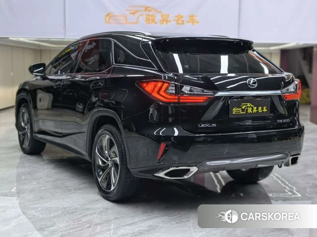 Lexus RX id 4220666 из Китая 27