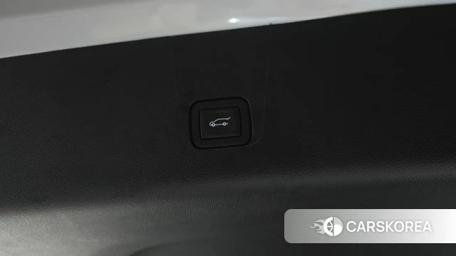 Chevrolet (GM Daewoo) Traverse id 4350874 из Кореи 27
