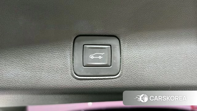 Chevrolet (GM Daewoo) Trailblazer id 4304282 из Кореи 27