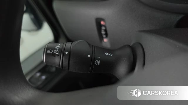 Renault Korea (Samsung) Master id 4871646 из Кореи 27