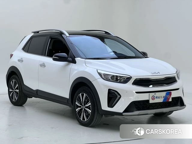 Kia Yi Ran id 4333836 из Китая 27