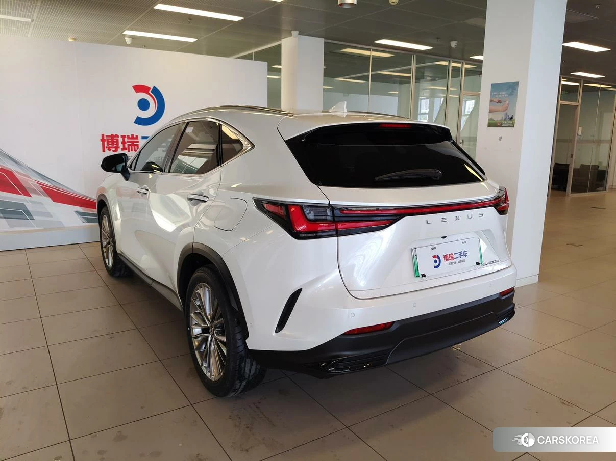 Lexus NX PHEV id 4498690 из Китая 27