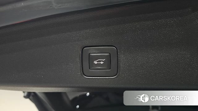 Chevrolet (GM Daewoo) Trailblazer id 4651651 из Кореи 27