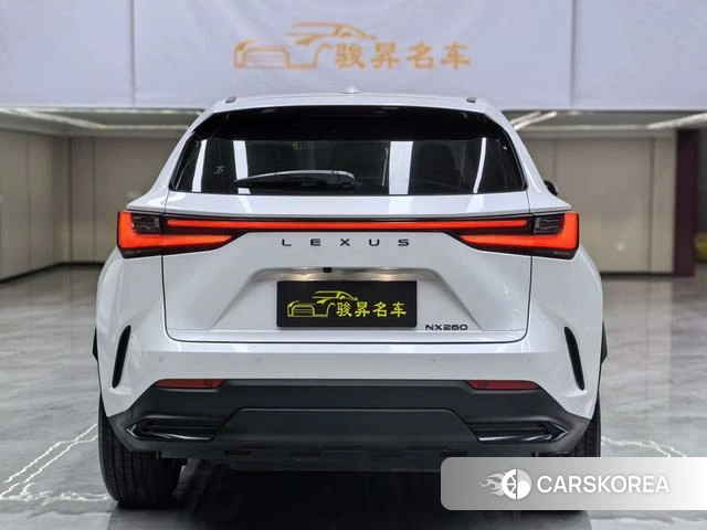 Lexus NX id 4273938 из Китая 27