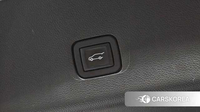 Chevrolet (GM Daewoo) Traverse id 4871859 из Кореи 28