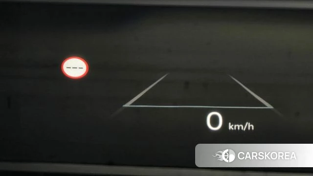 Hyundai Santa Fe (MX5) id 4898125 из Кореи 28