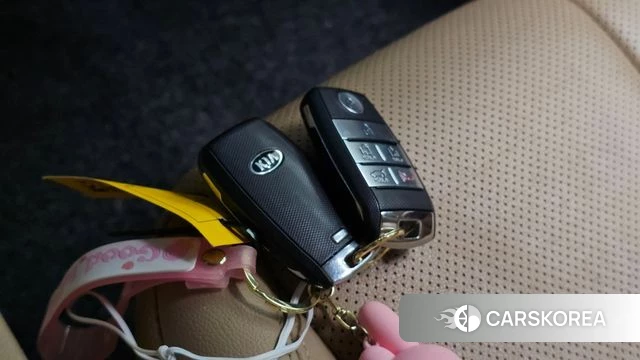Kia The New Carnival id 4703303 из Кореи 28