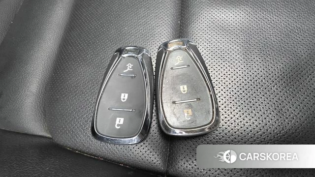 Chevrolet (GM Daewoo) Trailblazer id 4316855 из Кореи 28