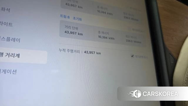 Tesla Model X id 4338789 из Кореи 28