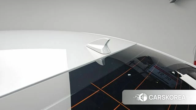 Renault Korea (Samsung) SM6 id 4615089 из Кореи 28