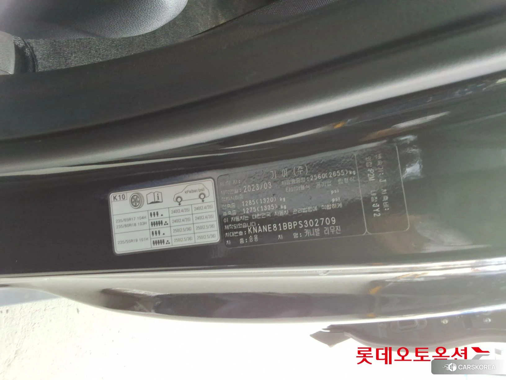 Kia Carnival Limousine id 3875728 из Кореи 28