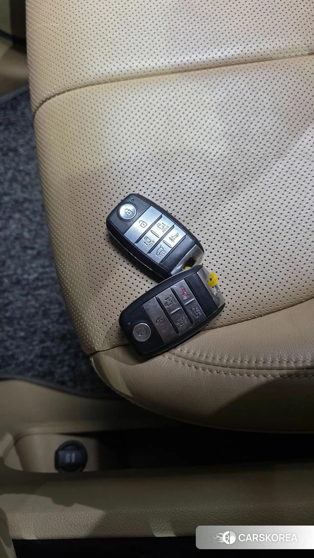 Kia The New Carnival id 4746948 из Кореи 28