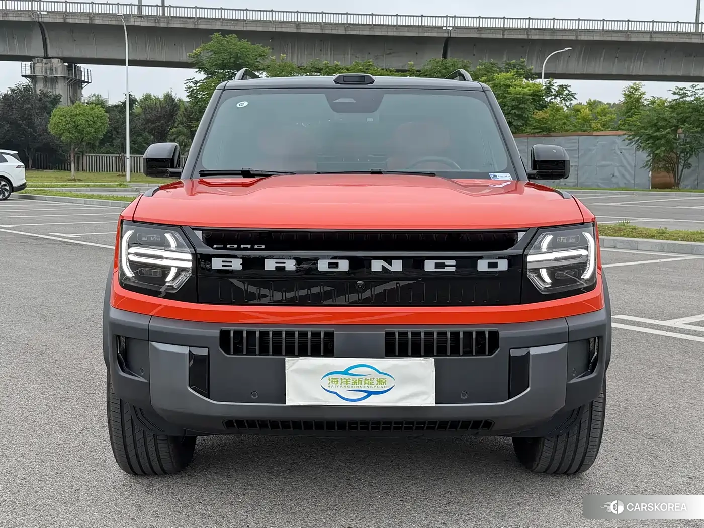 Ford Smart Fun Horse id 4514279 из Китая 28