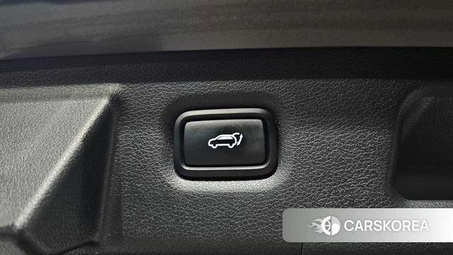 Hyundai Santa Fe TM id 4604909 из Кореи 29
