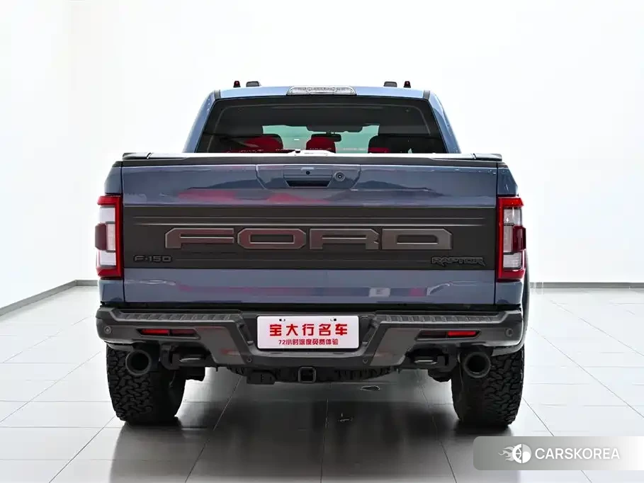Ford F-150 Raptor id 4545975 из Китая 29