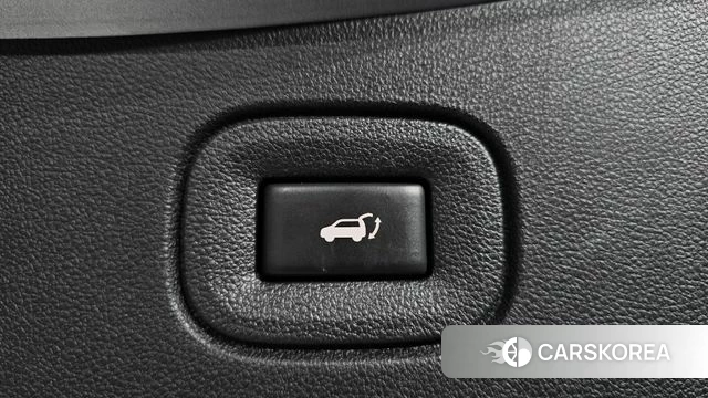 Renault Korea (Samsung) The New QM6 id 4424145 из Кореи 30