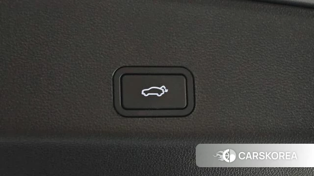 Renault Korea (Samsung) Grand Coleos id 4773471 из Кореи 30