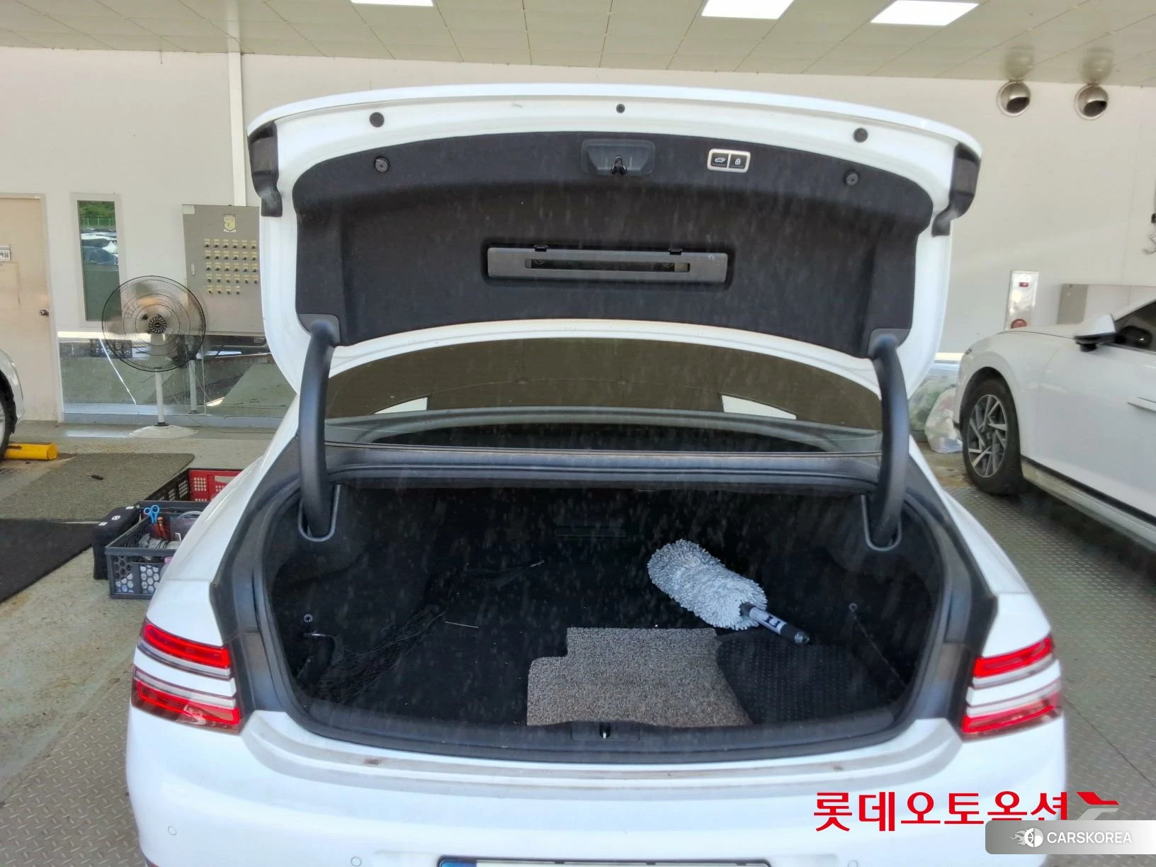Hyundai G80 id 4679331 из Кореи 30