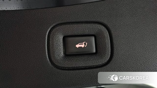 Renault Korea (Samsung) The New QM6 id 4355858 из Кореи 30