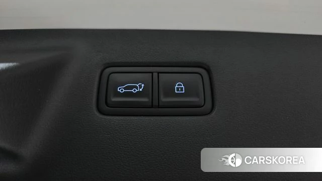 Hyundai Santa Fe (MX5) id 4898125 из Кореи 31