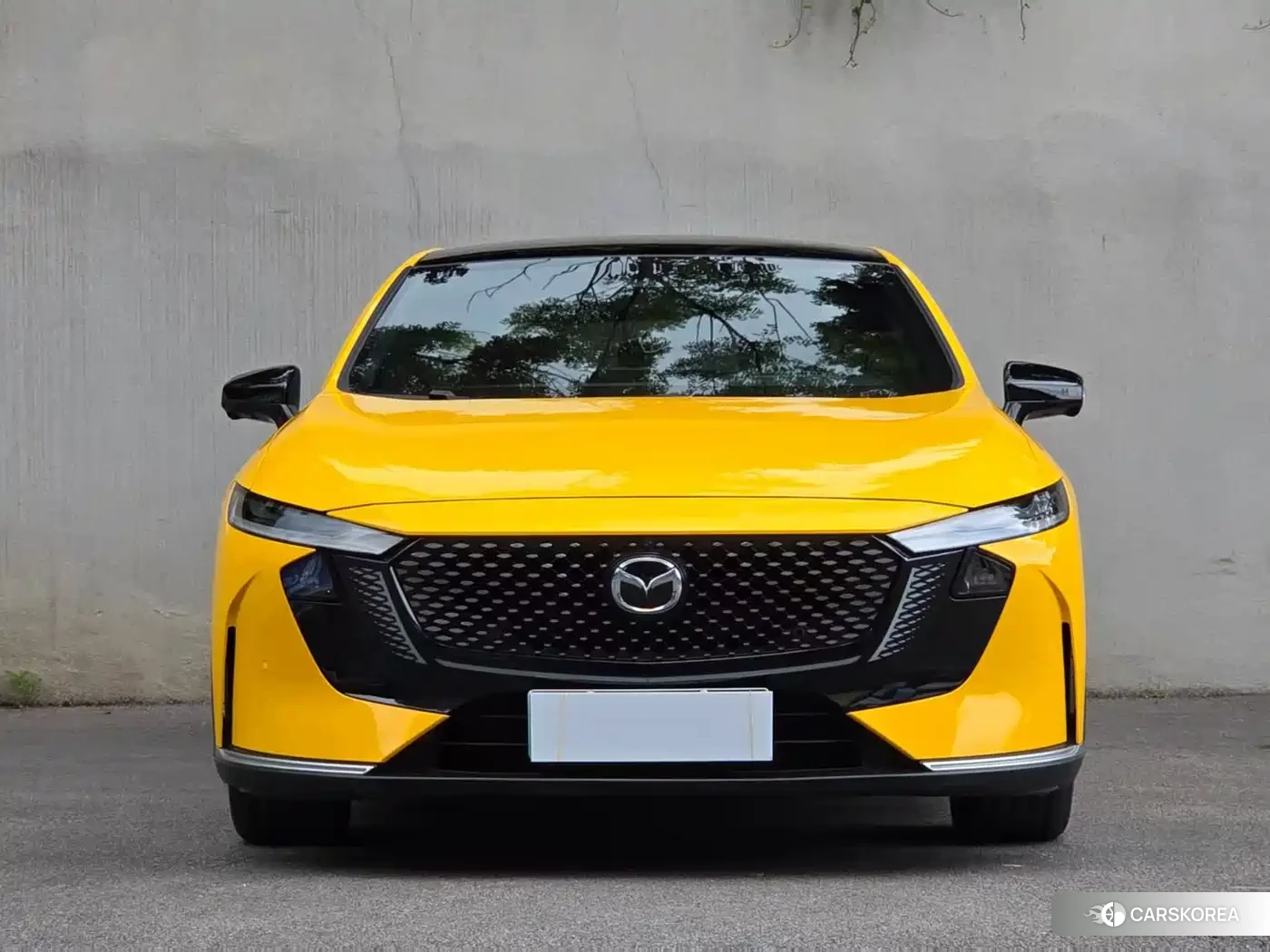 Mazda EZ-6 id 4514090 из Китая 31