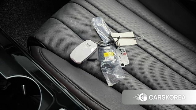 Genesis Electrified G80 (RG3) id 4686410 из Кореи 33