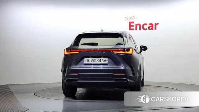 Lexus NX450h + 2nd generation id 3043222 из Кореи 14