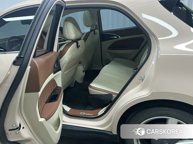 Euler Good cat id 3875987 из Китая 14