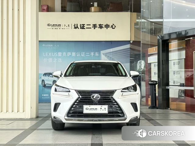 Lexus NX 2019 Белый из Китая, фото 4