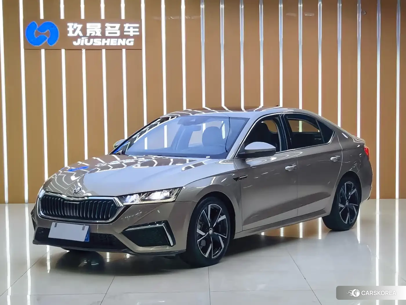 Skoda Octavia id 4669239 из Китая 13