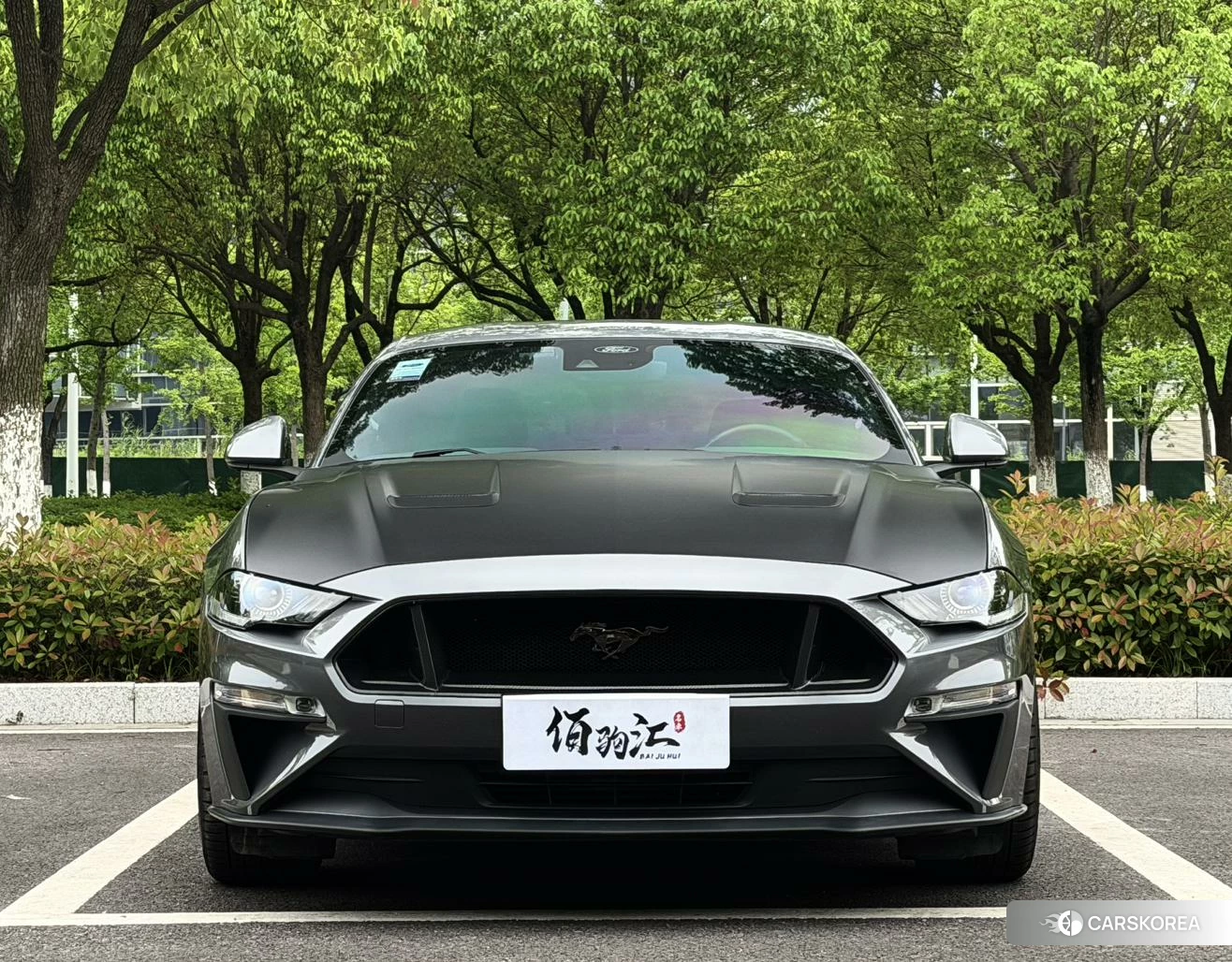 Ford Mustang id 4419140 из Китая 8