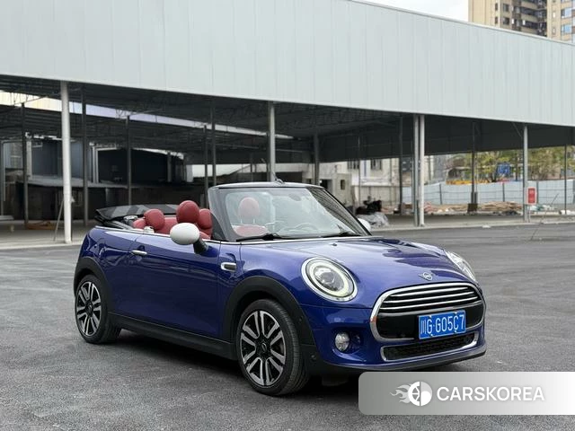 MINI MINI id 4216361 из Китая 24