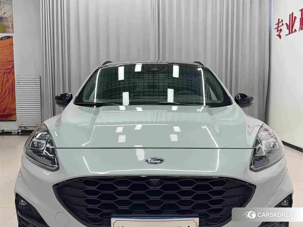 Ford Ruiji 2023 Silver/gray из Китая, фото 4
