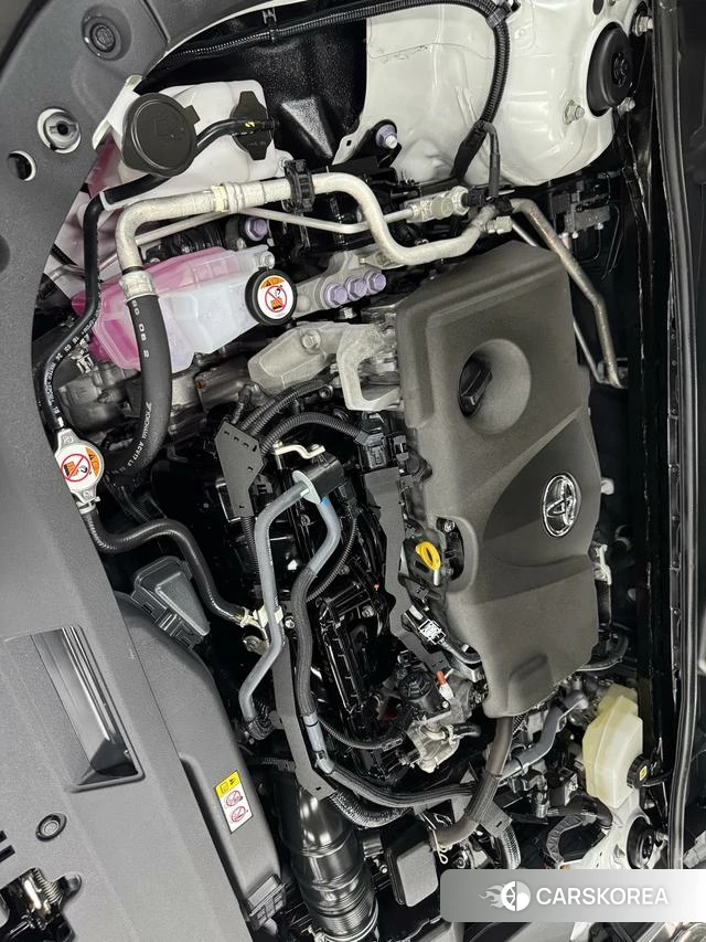 Toyota Asian dragon id 4263582 из Китая 8
