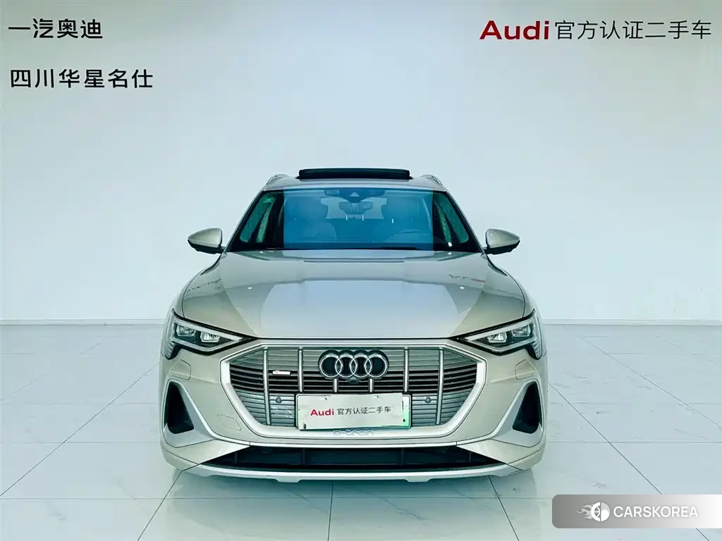 Audi e-tron 2022 Champagne/brown из Китая, фото 4