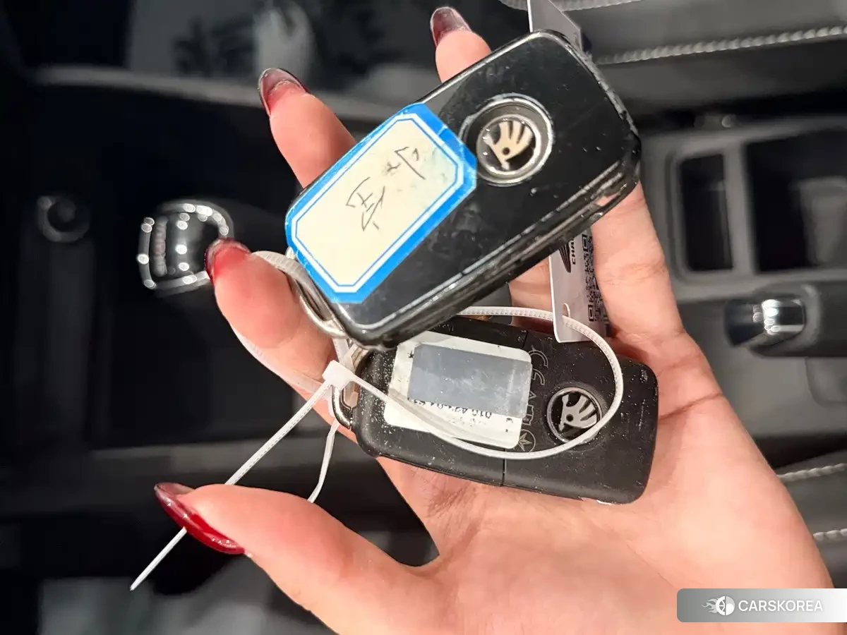 Skoda Kamiq id 4629084 из Китая 12