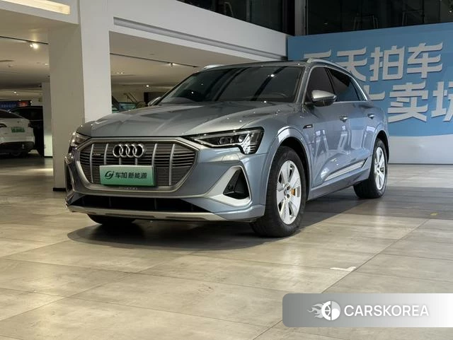 Audi e-tron 2023 Другой из Китая, фото 4