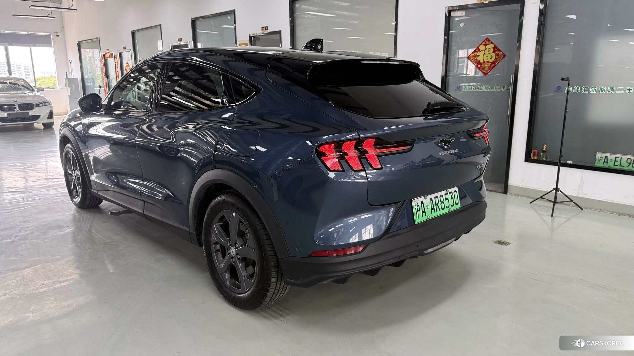 Ford Electric horse 2021 Синий из Китая, фото 4