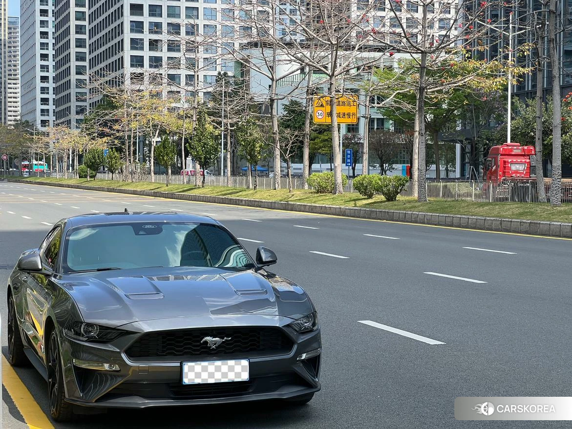 Ford Mustang id 4467794 из Китая 11