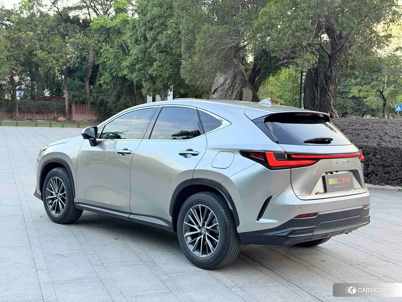 Lexus NX 2025 Champagne/brown из Китая, фото 4