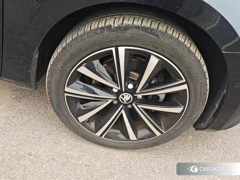 Skoda Speed pie id 4546435 из Китая 10