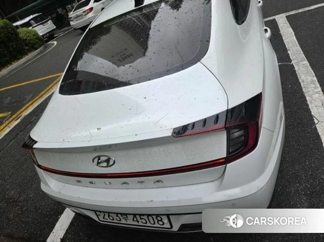 Hyundai Sonata (DN8) 2019 Белый из Кореи, фото 4