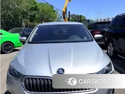 Skoda Xin Rui 2021 Silver/gray из Китая, фото 4