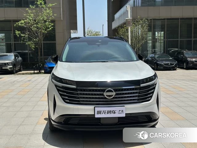 Nissan Exploring the land id 4220619 из Китая 24