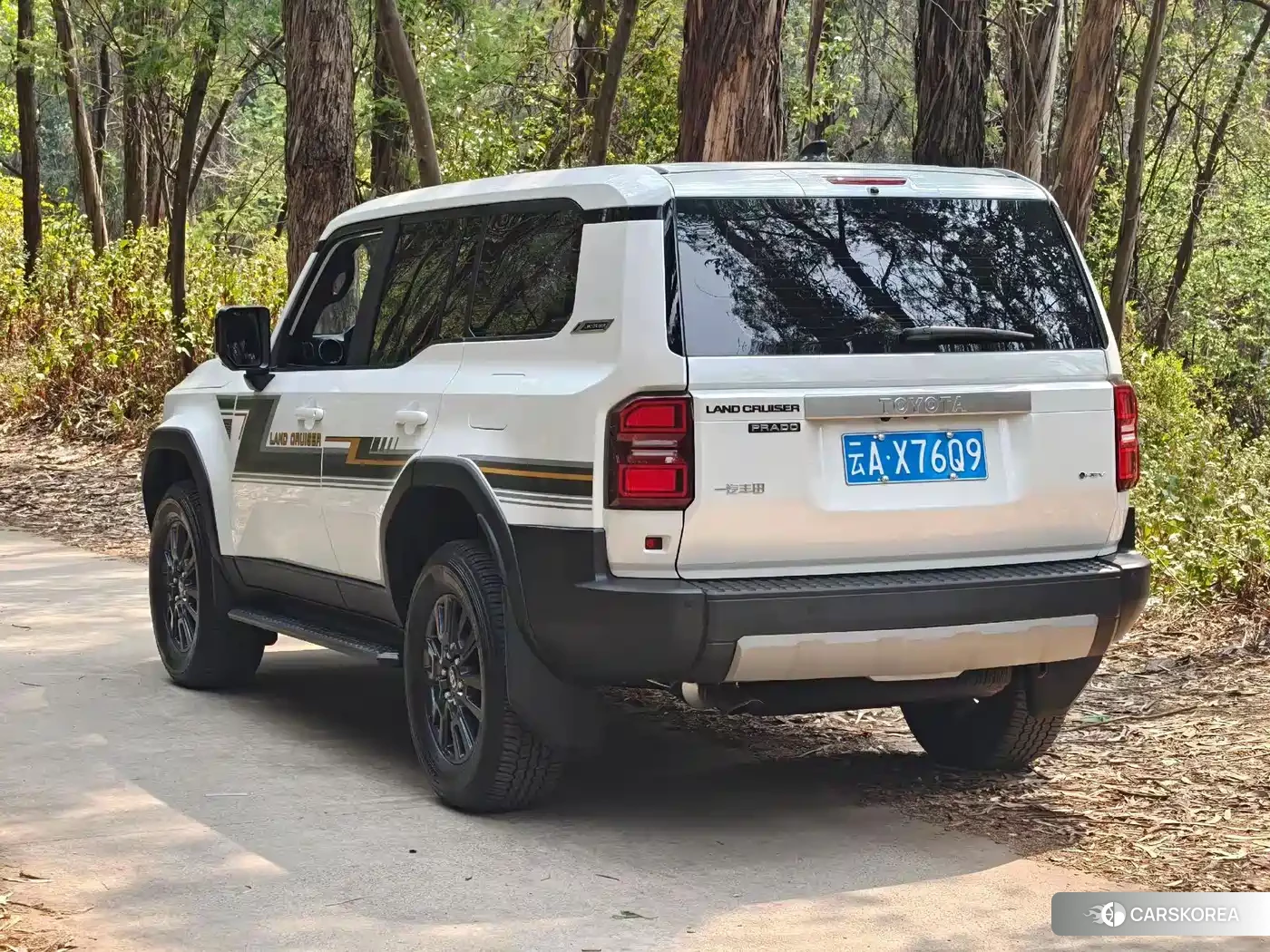 Toyota Prado id 4600726 из Китая 13