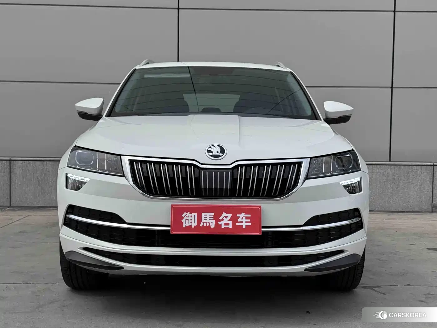 Skoda Krok id 4538993 из Китая 11