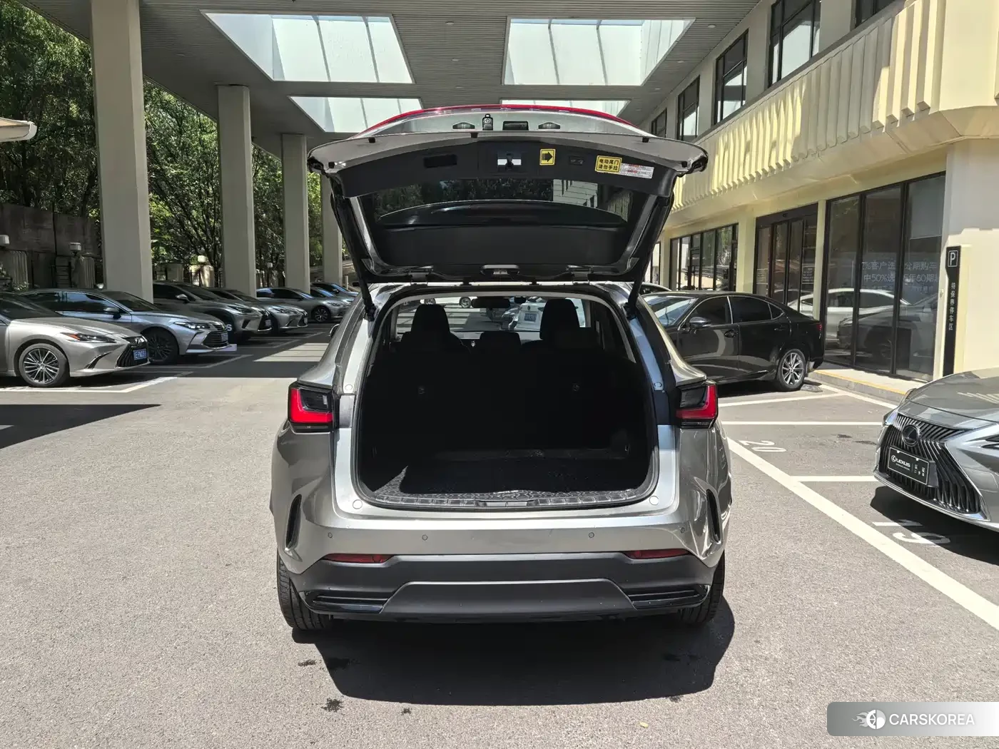 Lexus NX New Energy 2022 Silver/gray из Китая, фото 4