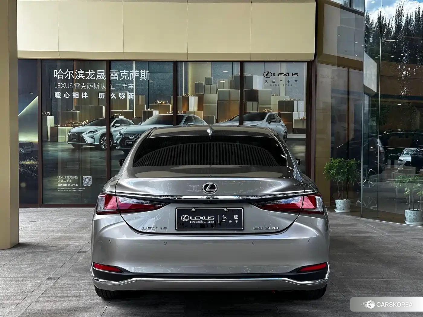 Lexus ES 2024 Silver/gray из Китая, фото 6