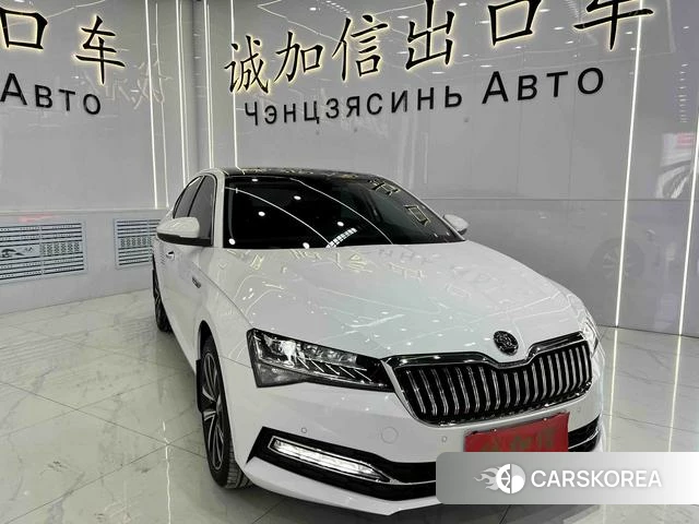 Skoda Speed pie id 4368045 из Китая 16