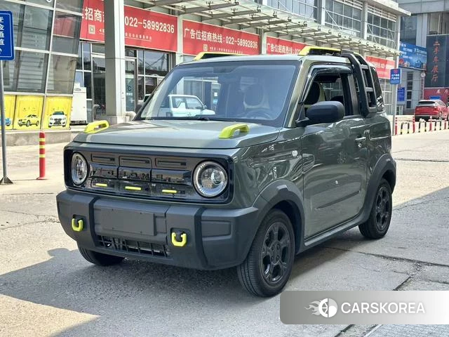 Geely Galaxy panda 2025 Зеленый из Китая, фото 4
